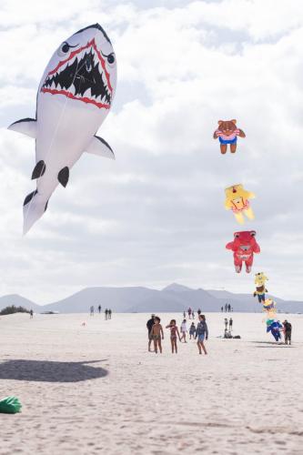 chrildren looking at kites